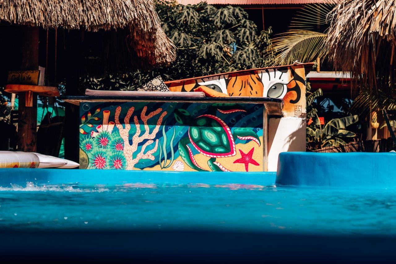 El Zoo Hostel, Bar&Pool Palomino Buitenkant foto
